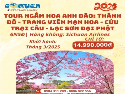 TOUR NGẮM HOA ANH ĐÀO: THÀNH ĐÔ - TRANG VIÊN MẠN HOA - CỬU TRẠI CÂU - LẠC SƠN ĐẠI PHẬT